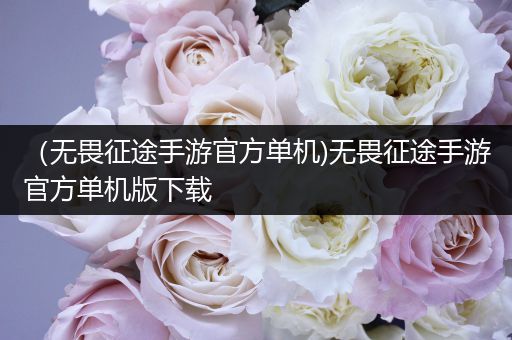 （无畏征途手游官方单机)无畏征途手游官方单机版下载