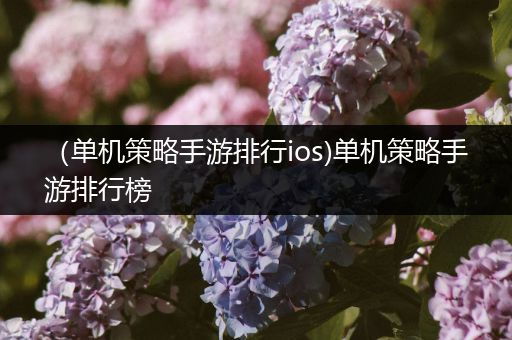 （单机策略手游排行ios)单机策略手游排行榜