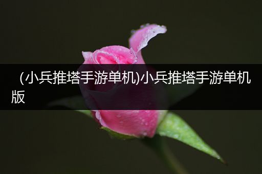 （小兵推塔手游单机)小兵推塔手游单机版