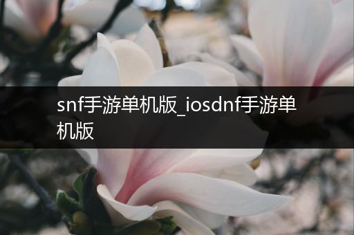 snf手游单机版_iosdnf手游单机版