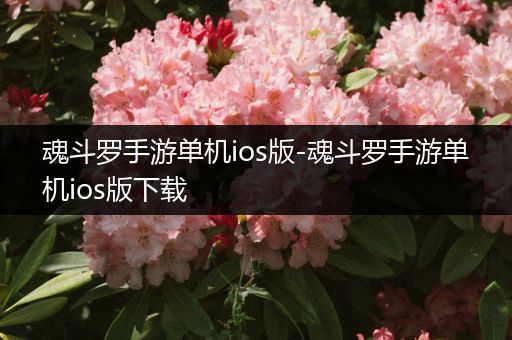 魂斗罗手游单机ios版-魂斗罗手游单机ios版下载