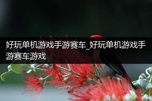 好玩单机游戏手游赛车_好玩单机游戏手游赛车游戏