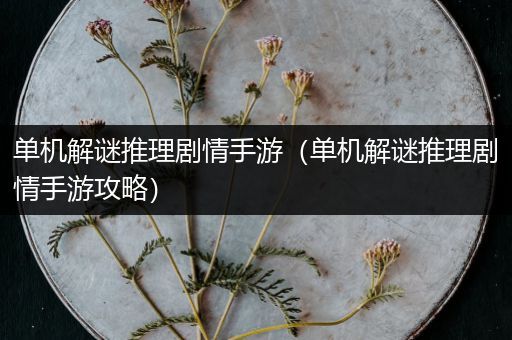 单机解谜推理剧情手游（单机解谜推理剧情手游攻略）