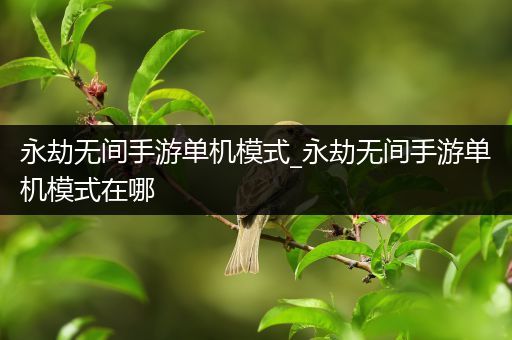 永劫无间手游单机模式_永劫无间手游单机模式在哪