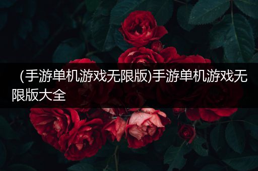 （手游单机游戏无限版)手游单机游戏无限版大全