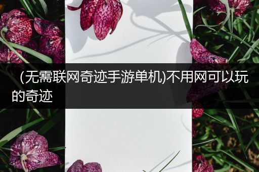 （无需联网奇迹手游单机)不用网可以玩的奇迹