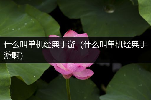 什么叫单机经典手游（什么叫单机经典手游啊）