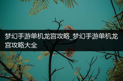 梦幻手游单机龙宫攻略_梦幻手游单机龙宫攻略大全