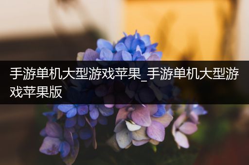 手游单机大型游戏苹果_手游单机大型游戏苹果版