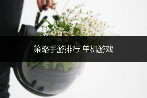 策略手游排行 单机游戏