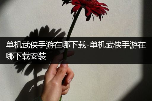 单机武侠手游在哪下载-单机武侠手游在哪下载安装