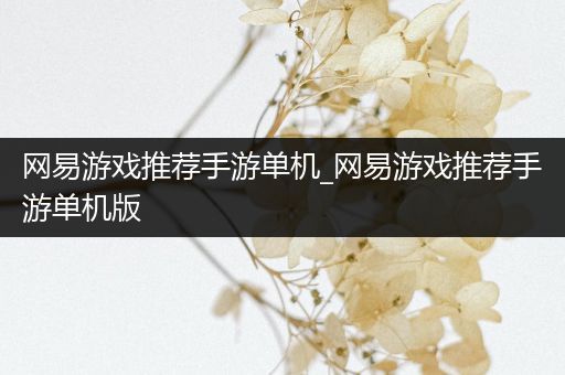 网易游戏推荐手游单机_网易游戏推荐手游单机版