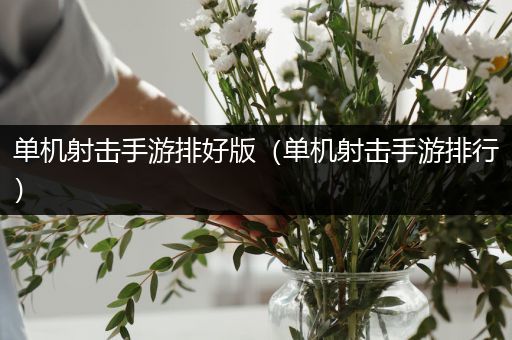 单机射击手游排好版（单机射击手游排行）