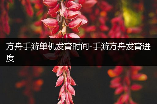 方舟手游单机发育时间-手游方舟发育进度