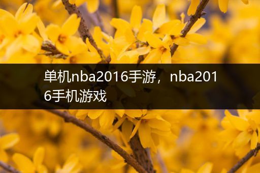 单机nba2016手游，nba2016手机游戏