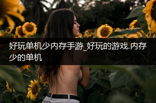 好玩单机少内存手游_好玩的游戏.内存少的单机