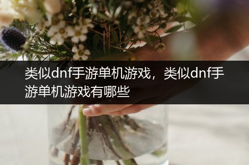 类似dnf手游单机游戏，类似dnf手游单机游戏有哪些