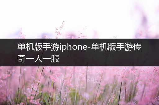 单机版手游iphone-单机版手游传奇一人一服