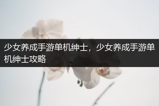 少女养成手游单机绅士，少女养成手游单机绅士攻略