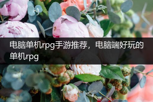 电脑单机rpg手游推荐，电脑端好玩的单机rpg