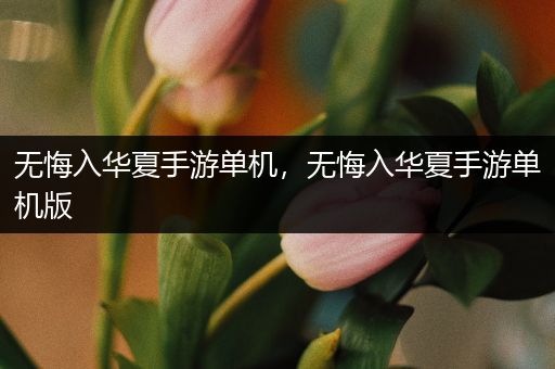 无悔入华夏手游单机，无悔入华夏手游单机版