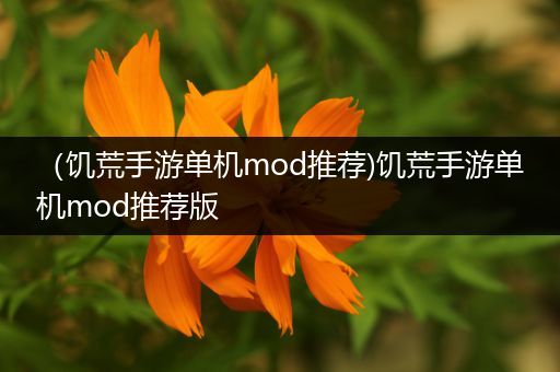 （饥荒手游单机mod推荐)饥荒手游单机mod推荐版