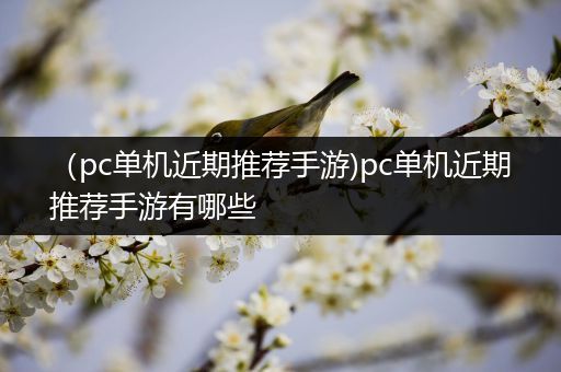 （pc单机近期推荐手游)pc单机近期推荐手游有哪些