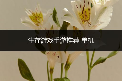 生存游戏手游推荐 单机