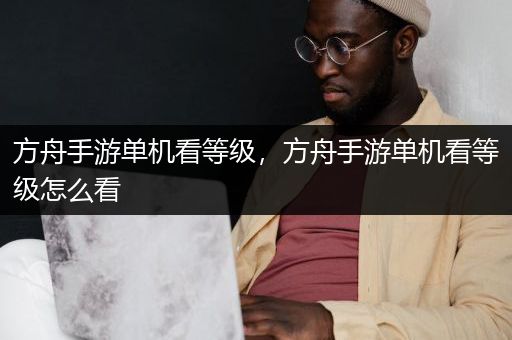 方舟手游单机看等级，方舟手游单机看等级怎么看