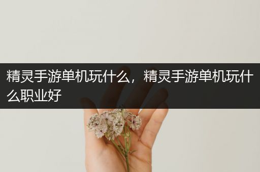 精灵手游单机玩什么，精灵手游单机玩什么职业好