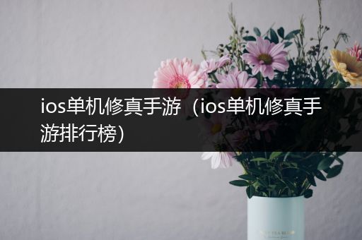 ios单机修真手游（ios单机修真手游排行榜）