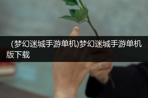 （梦幻迷城手游单机)梦幻迷城手游单机版下载