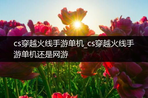 cs穿越火线手游单机_cs穿越火线手游单机还是网游