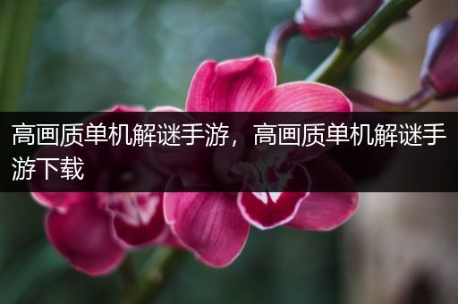 高画质单机解谜手游，高画质单机解谜手游下载