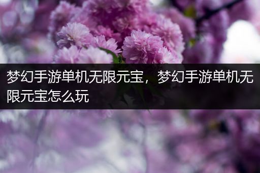 梦幻手游单机无限元宝，梦幻手游单机无限元宝怎么玩