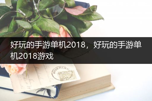 好玩的手游单机2018，好玩的手游单机2018游戏