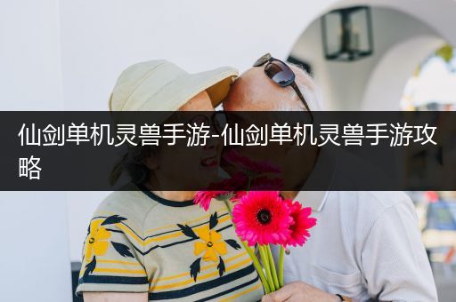 仙剑单机灵兽手游-仙剑单机灵兽手游攻略