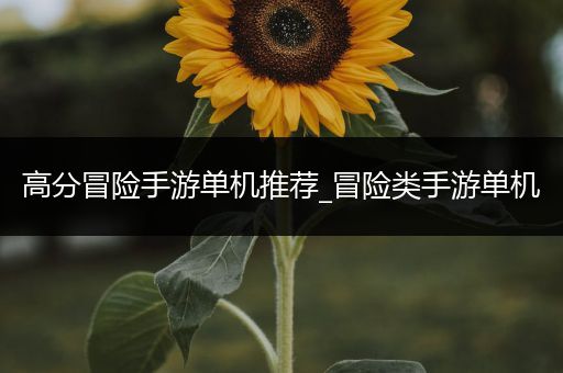 高分冒险手游单机推荐_冒险类手游单机