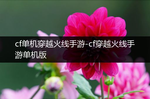 cf单机穿越火线手游-cf穿越火线手游单机版