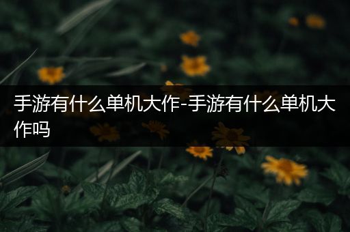 手游有什么单机大作-手游有什么单机大作吗