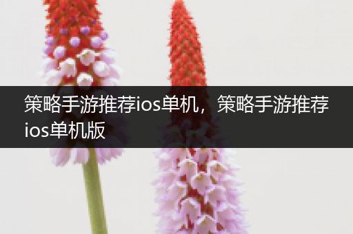 策略手游推荐ios单机，策略手游推荐ios单机版