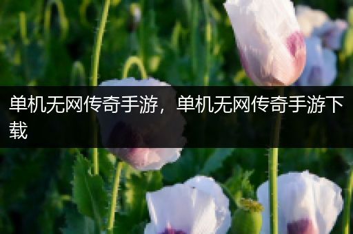 单机无网传奇手游，单机无网传奇手游下载