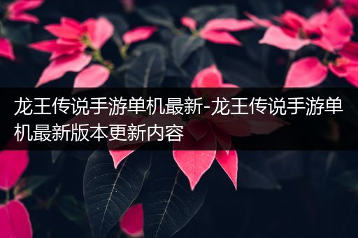 龙王传说手游单机最新-龙王传说手游单机最新版本更新内容