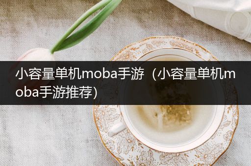 小容量单机moba手游（小容量单机moba手游推荐）