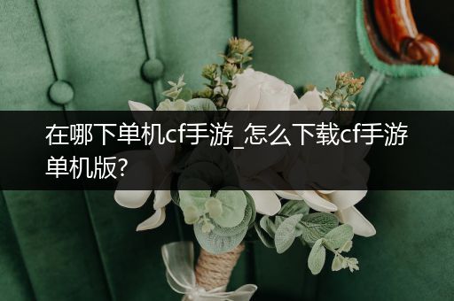 在哪下单机cf手游_怎么下载cf手游单机版?