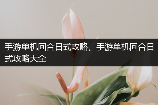 手游单机回合日式攻略，手游单机回合日式攻略大全