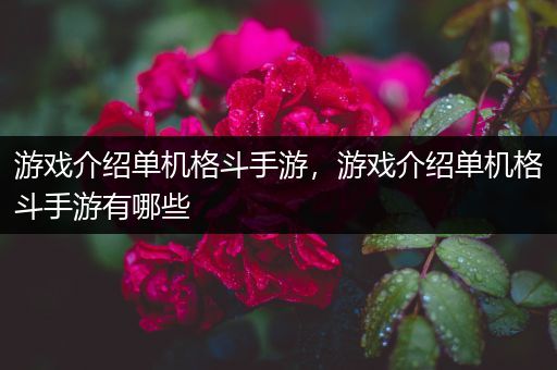 游戏介绍单机格斗手游，游戏介绍单机格斗手游有哪些