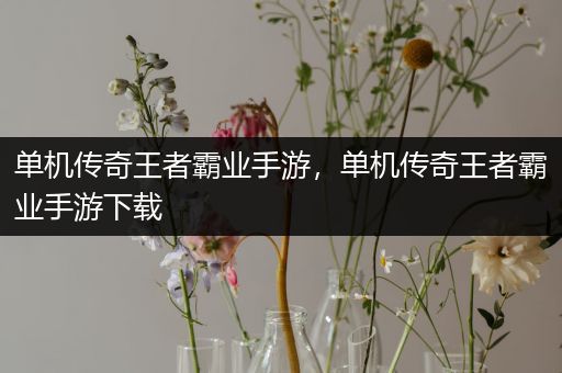 单机传奇王者霸业手游，单机传奇王者霸业手游下载