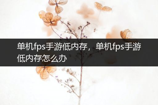 单机fps手游低内存，单机fps手游低内存怎么办