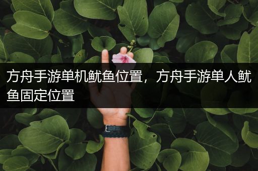 方舟手游单机鱿鱼位置，方舟手游单人鱿鱼固定位置